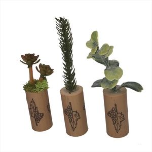 Set of 3 Mini Artificial Succulents Greenery Refrigerator Magnets